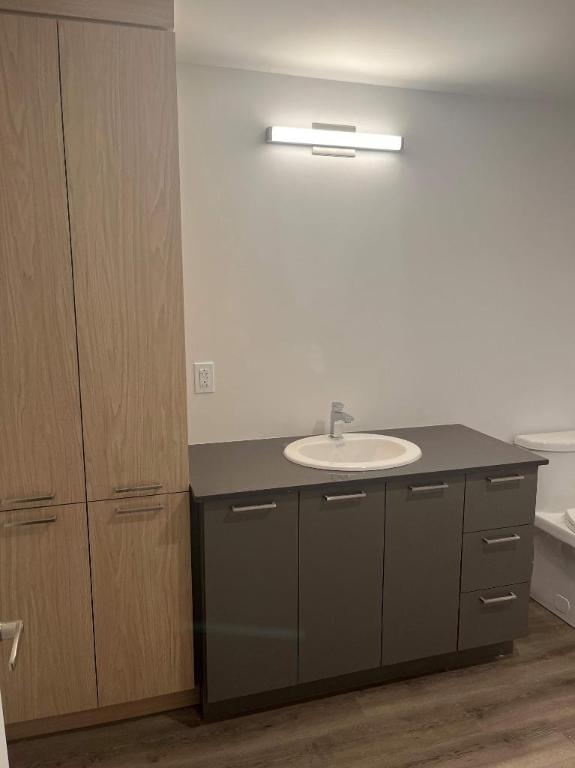 1 CH - 1 SDB - Terrebonne - $1,675 /mo | 3280738