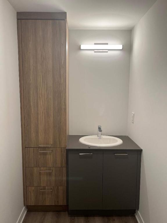 1 CH - 1 SDB - Terrebonne - $1,725 /mo | 3280824
