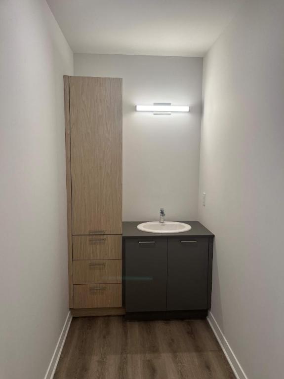 1 CH - 1 SDB - Terrebonne - $1,725 /mo | 3280825