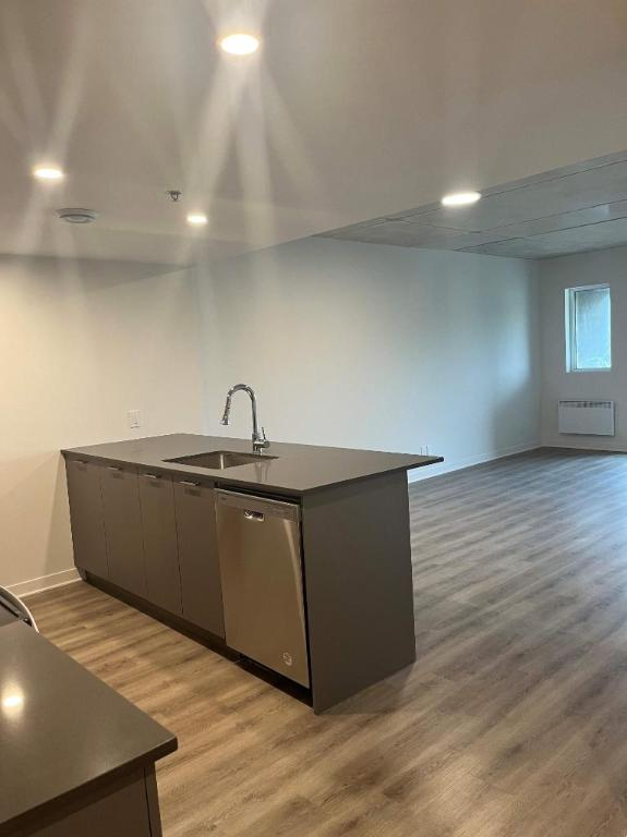 1 CH - 1 SDB - Terrebonne - $1,725 /mo | 3280827