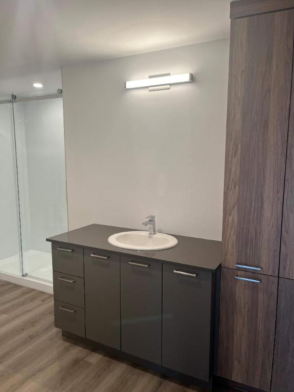 1 CH - 1 SDB - Terrebonne - $1,725 /mo | 3280827