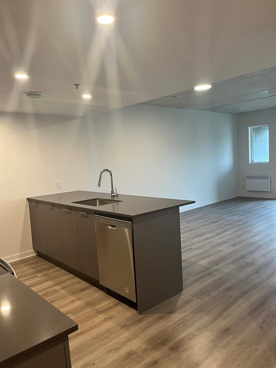 1 CH - 1 SDB - Terrebonne - $1,725 /mo | 3281546