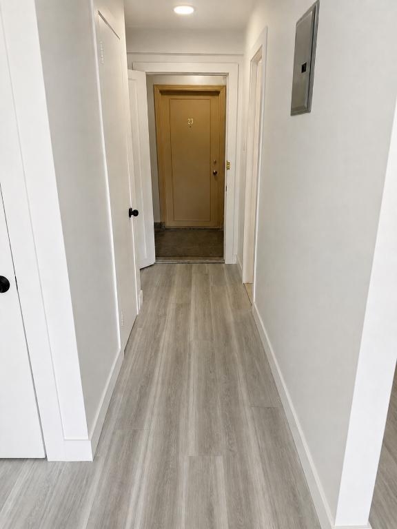 Studio rénové à louer - fully renovated for rent - NDG | 3282318