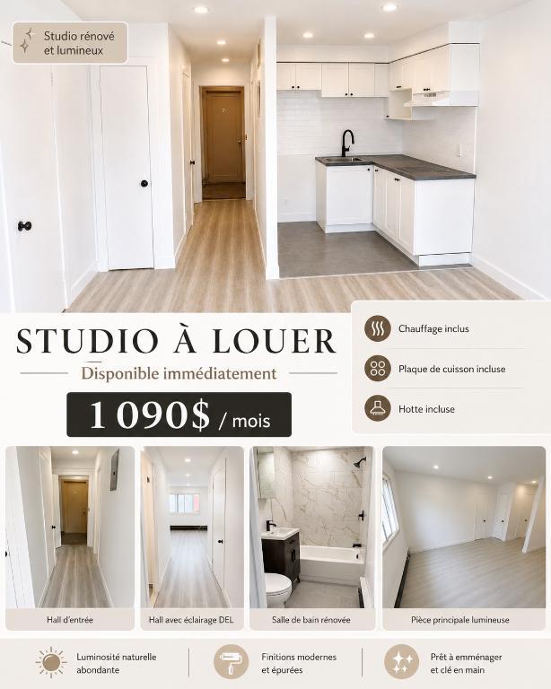 Studio rénové à louer - fully renovated for rent - NDG | 3282318