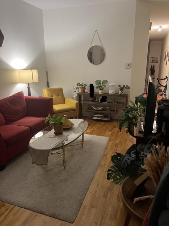 3 1/2 - Montréal (Rosemont) - 1 145 $/mois | 3281578