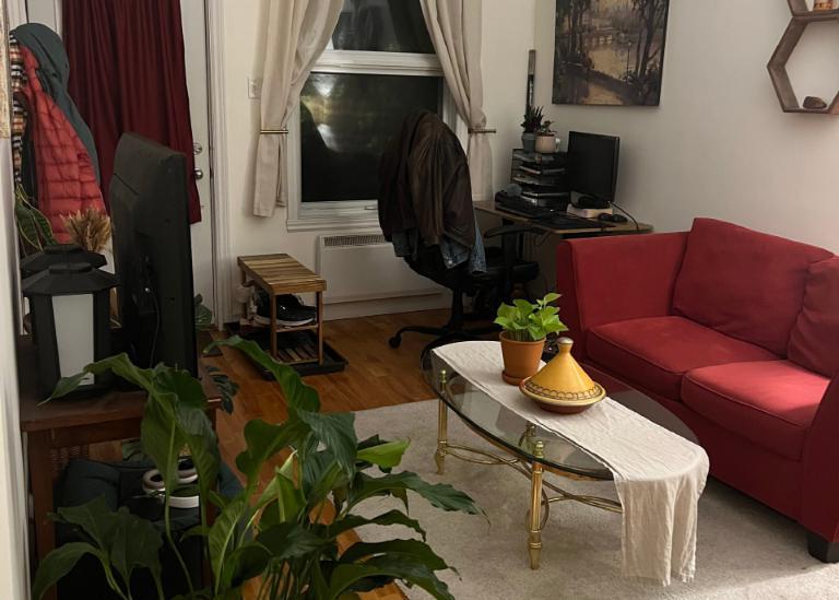 3 1/2 - Montréal (Rosemont) - 1 145 $/mois | 3281578