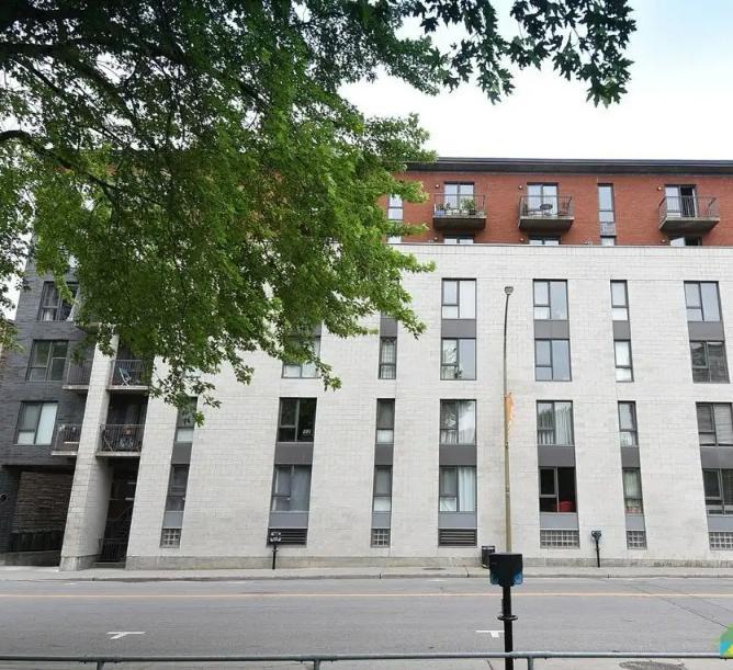 Studio à louer proche du Quartier Place-des-Arts (inclut un espace de stationnement) | 3281594