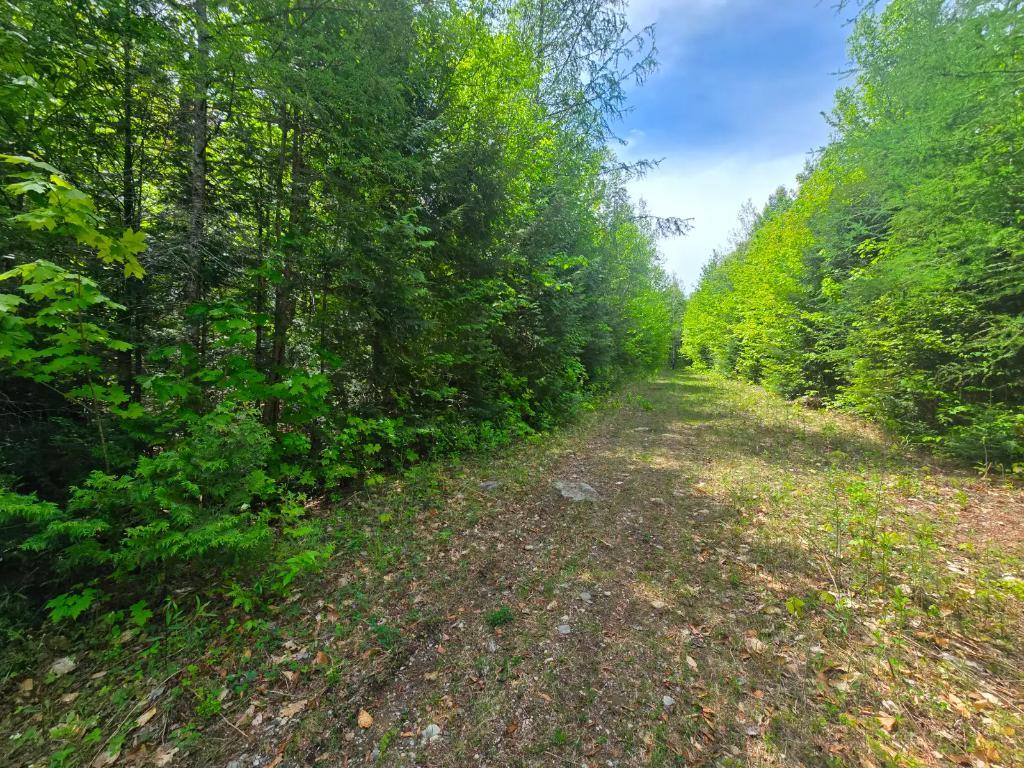 Terrain a. Vendre a 10 minutes de Rawdon e st julienne | 3281681