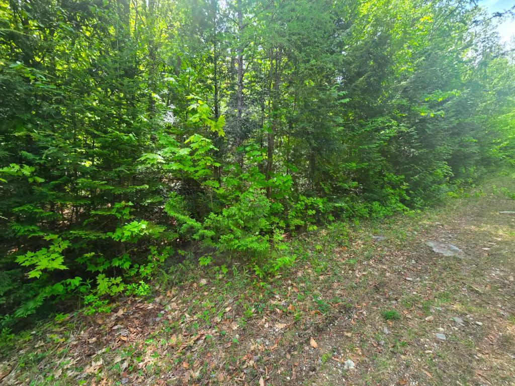 Terrain a. Vendre a 10 minutes de Rawdon e st julienne | 3281681