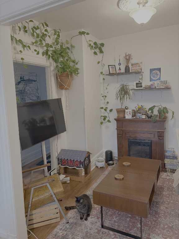 Grand 3 1/2 chambre double à louer (1er août) | 3282365