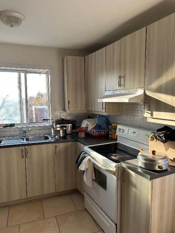 4 1/2 rénové - Villeray–Saint-Michel–Parc-Extension (MTL) | 3282386