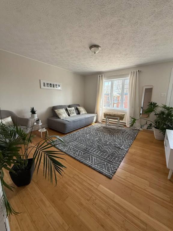Grand 4 ½ à louer – Disponible dès le 1er juillet 2026 | 3282436