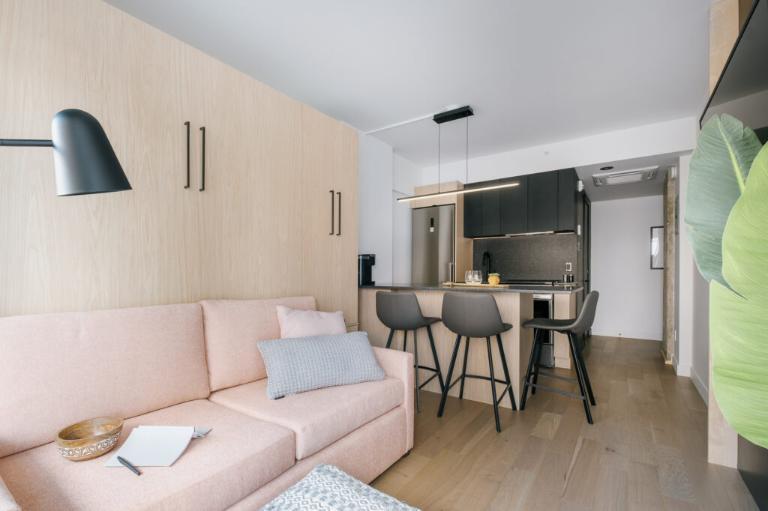 Loft entièrement meublé à louer Saint-Jean-Baptiste septembre 2026 | 3291987