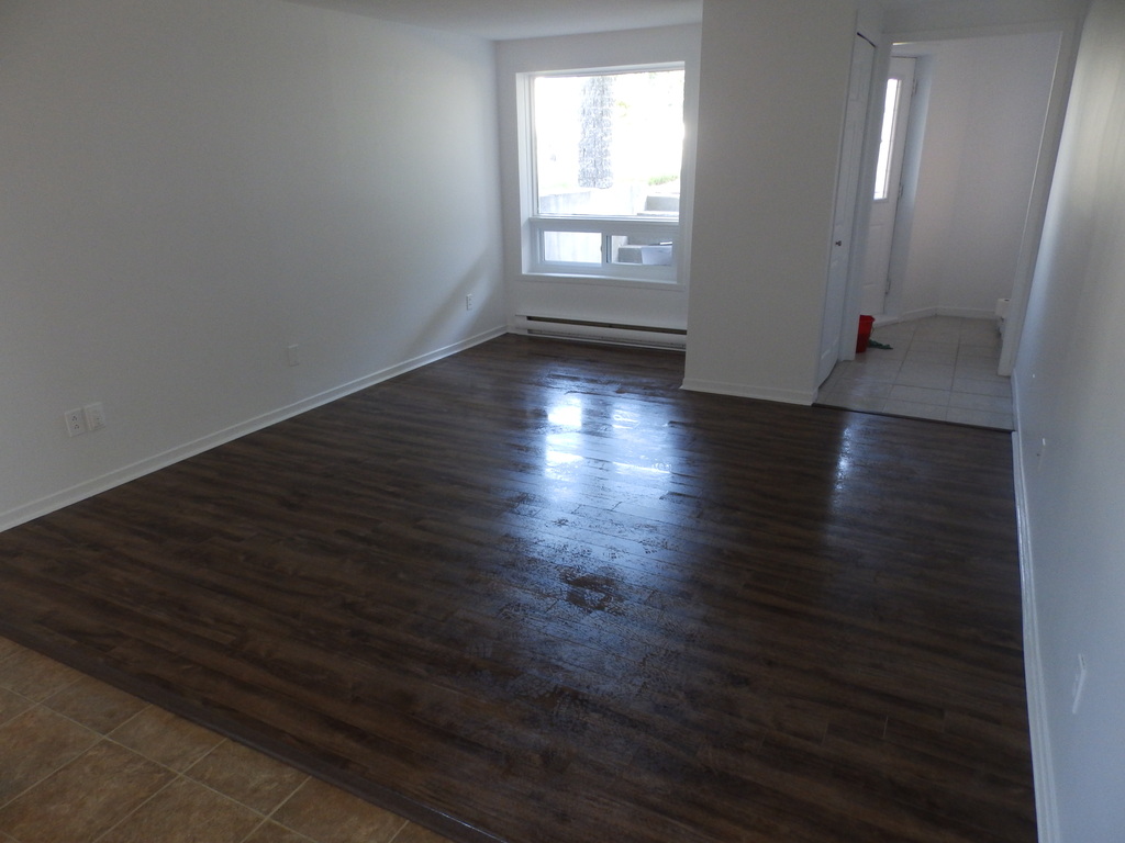 Logement 4 1/2 Demi Sous Sol Triplex | 3283020