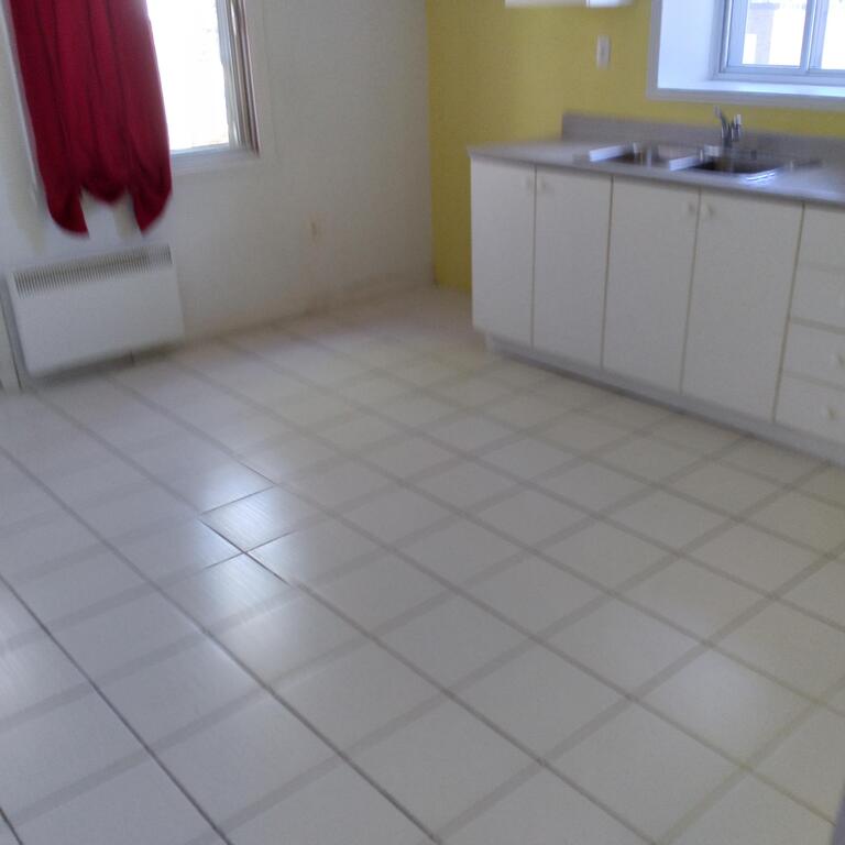 ROSEMONT : IMMENSE 4 ½ Rez-de-chaussée+ | 3283194