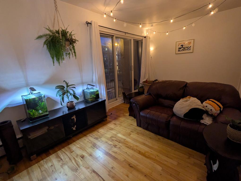 41/2 à louer chauffe | 3290797