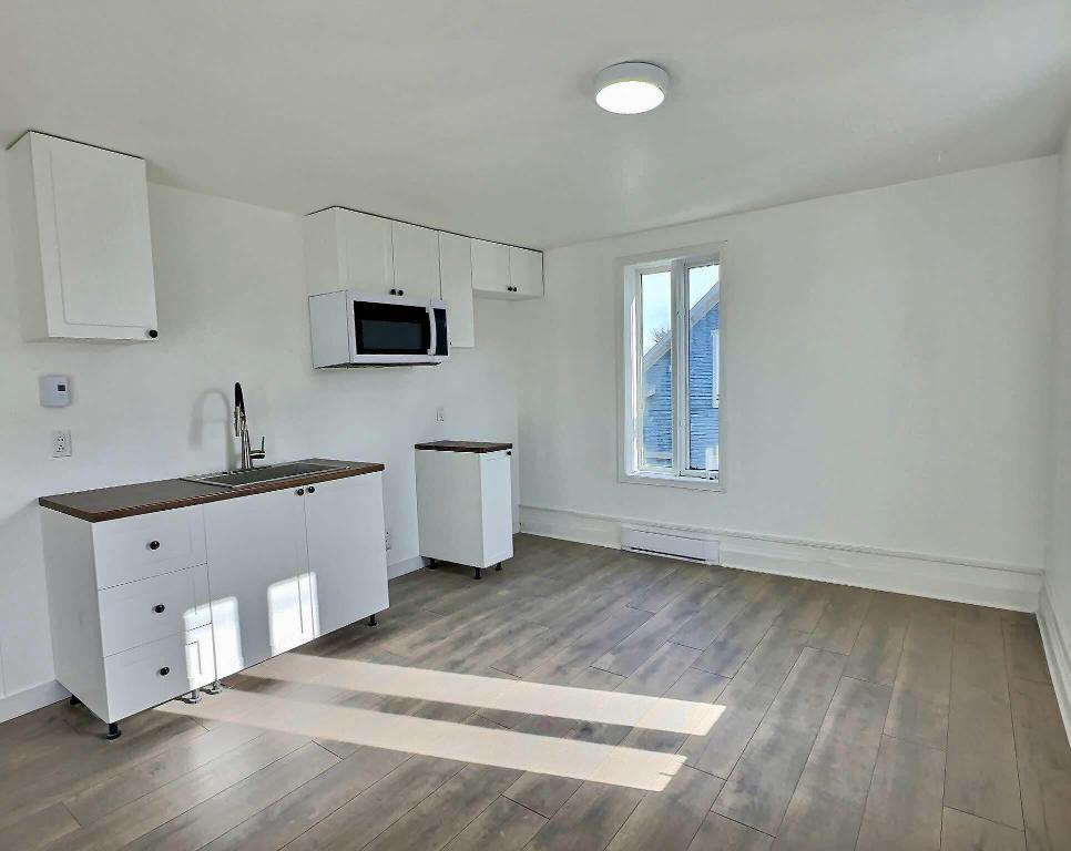 Logement 3 1/2 a louer dispo pour 1 Novembre | 3283264