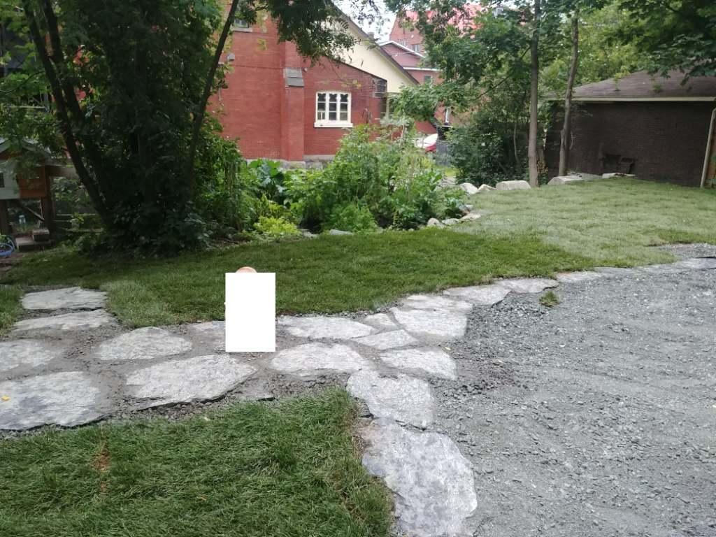 Grand appartement 6 ½ Vieux Nord de Sherbrooke | 3283421