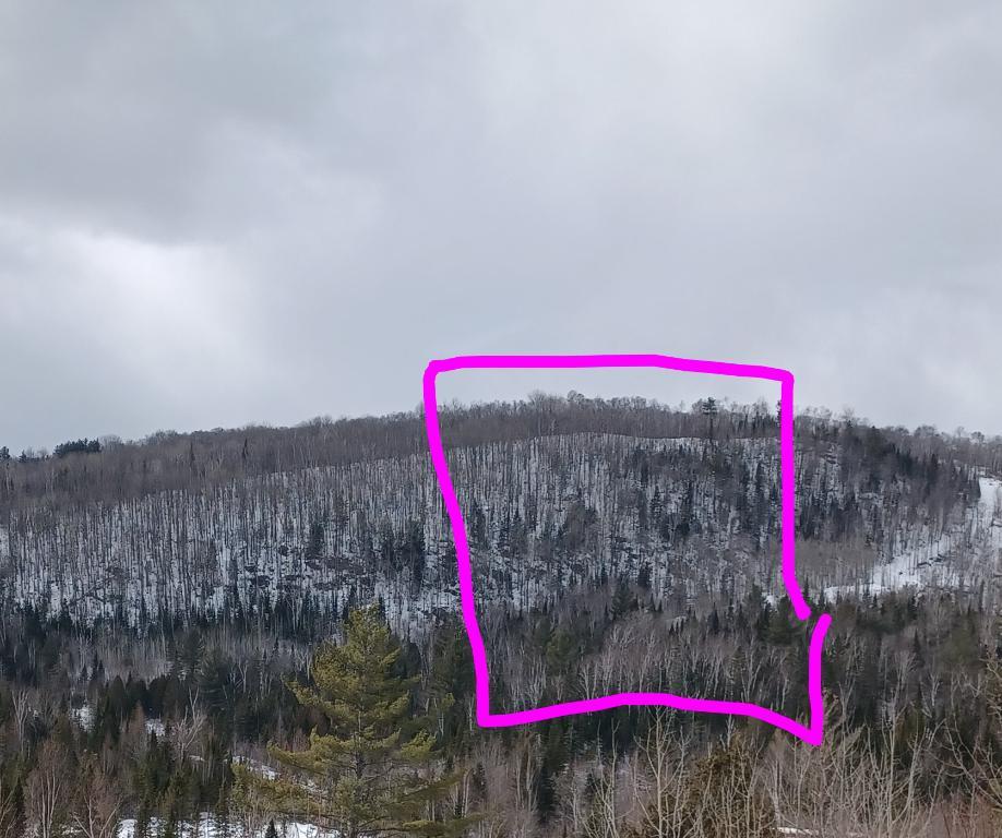 Terrain à vendre 10 ou 15 arpents | 3283463