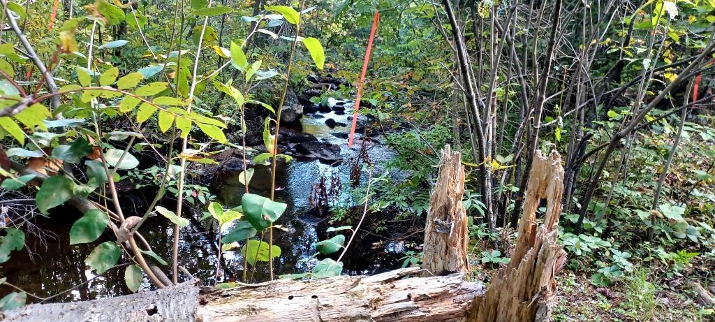 Terrain à vendre 10 ou 15 arpents | 3283463