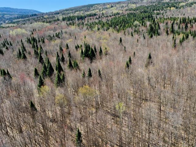 Kinnear’s Mills (Chaudière-Appalaches) : Terre à bois de 110 acres avec forêt mixte, lac privé, rivière à truite et ruisseaux | 3283467