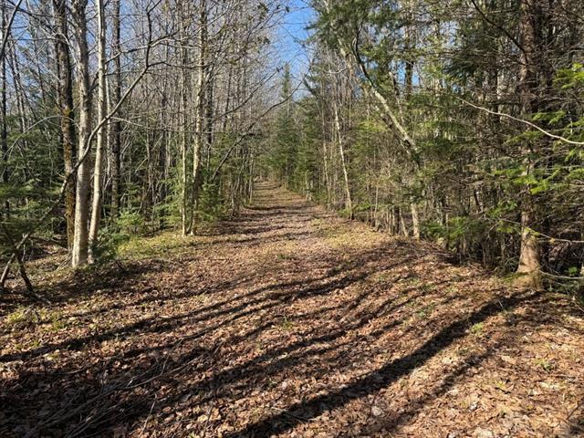 Kinnear’s Mills (Chaudière-Appalaches) : Terre à bois de 110 acres avec forêt mixte, lac privé, rivière à truite et ruisseaux | 3283467