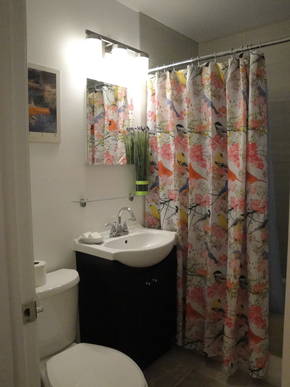 2 1/2 Meublé à Louer à Saint-Laurent | 3283733