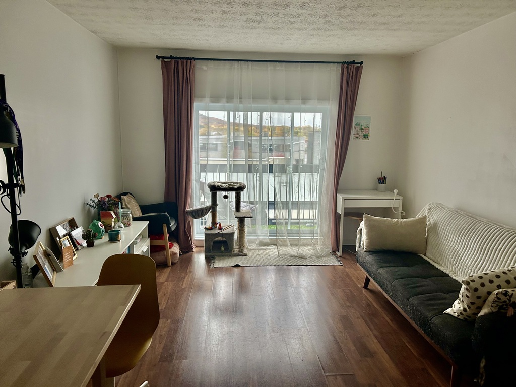3 1/2 à Louer Beloeil. Mail Montenach | 3283804