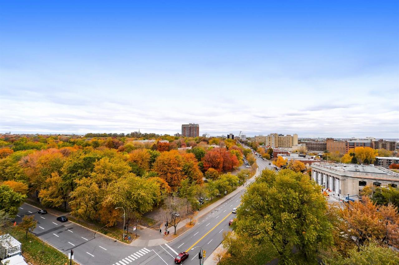 Grand 1.5 Avec Vue - 1010 Cherrier, Montréal | 3283881