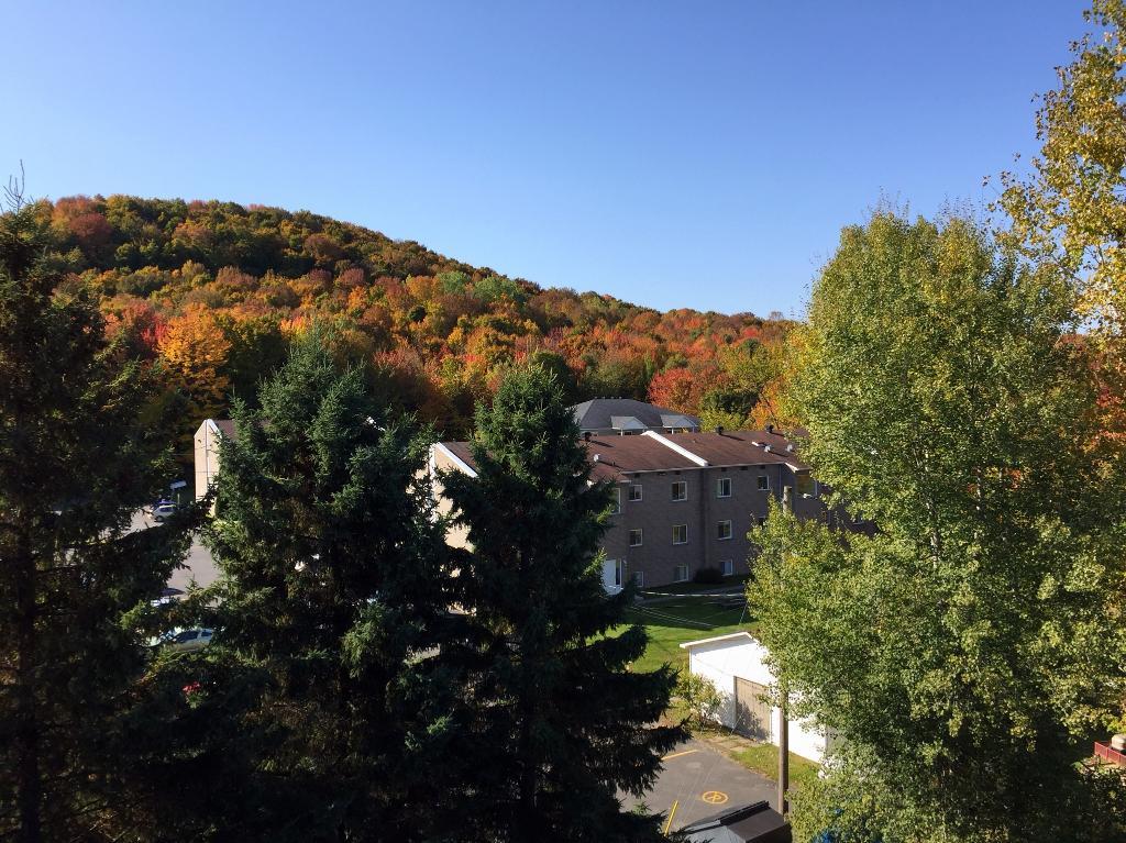 3 1/2 Bromont | 3284130