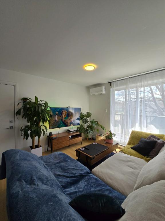 **RABAIS 50% SUR LE PREMIER MOIS ** Appartement 4 1/2 rénové à louer à Lévis (St-Romuald) à 4 minutes des ponts | 3284148