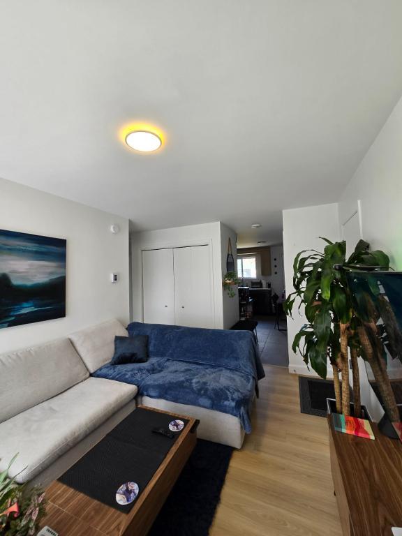 **RABAIS 50% SUR LE PREMIER MOIS ** Appartement 4 1/2 rénové à louer à Lévis (St-Romuald) à 4 minutes des ponts | 3284148