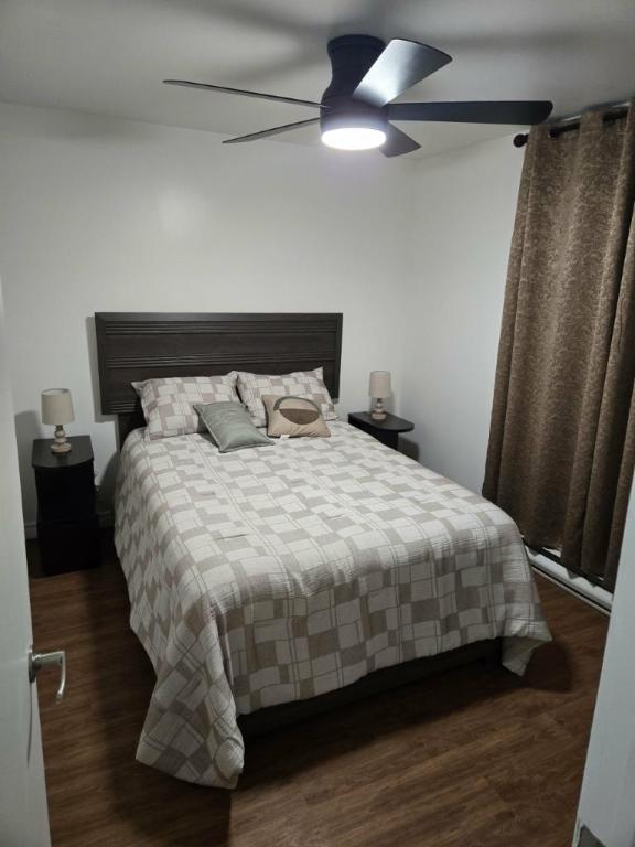 3 1/2 - Longueuil (Le Vieux-Longueuil) - 1 800 $/mois | 3284209