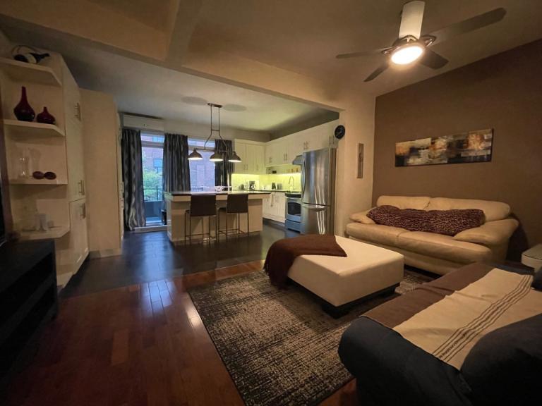3 1/2 - Montréal (Hochelaga / Maisonneuve) - 1 800 $/mois | 3284238