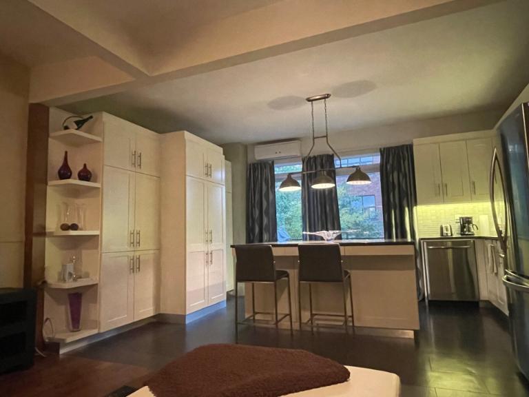 3 1/2 - Montréal (Hochelaga / Maisonneuve) - 1 800 $/mois | 3284238