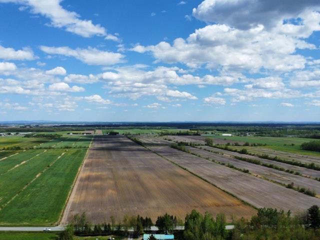 Sainte-Eulalie (Centre-du-Québec) : Ensemble de terres agricoles de 188 acres, 173 acres en culture, nivelées, drainées, idéal pour grande culture | 3297027