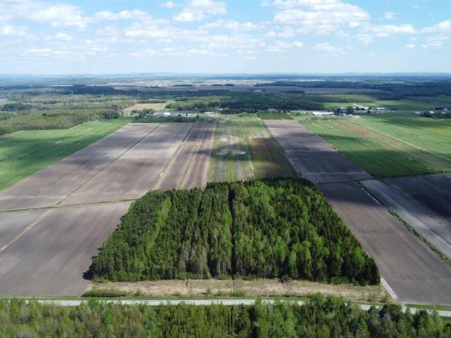 Sainte-Eulalie (Centre-du-Québec) : Ensemble de terres agricoles de 188 acres, 173 acres en culture, nivelées, drainées, idéal pour grande culture | 3297027