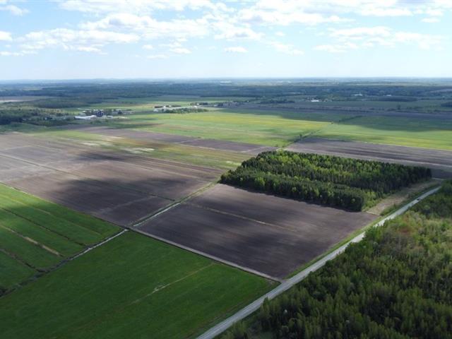 Sainte-Eulalie (Centre-du-Québec) : Ensemble de terres agricoles de 188 acres, 173 acres en culture, nivelées, drainées, idéal pour grande culture | 3297027