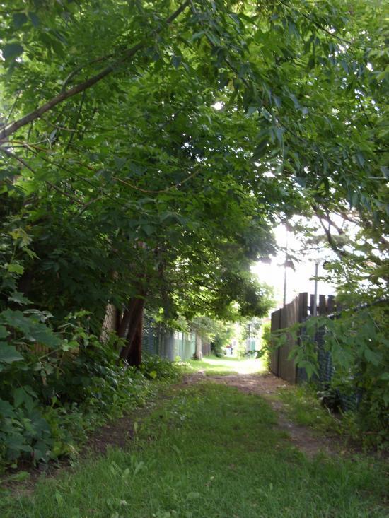 3 ½ DERNIER ÉTAGE – ROSEMONT – MÉTRO JOLIETTE – ANIMAUX ACCEPTÉS | 3284784