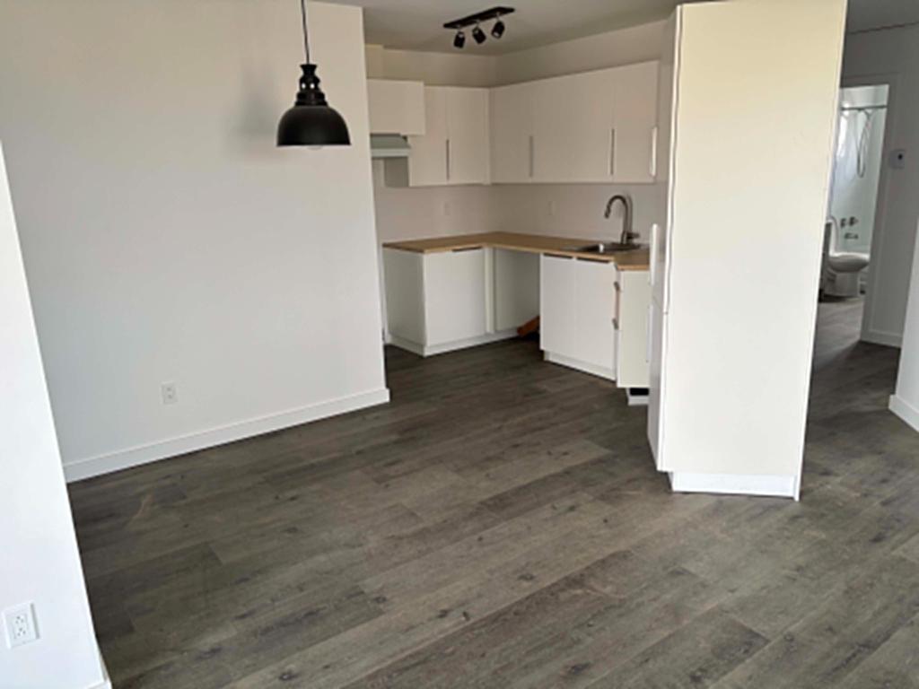 🏡 Superbe 4 ½ entièrement rénové à louer – St-Agapit | 3284790
