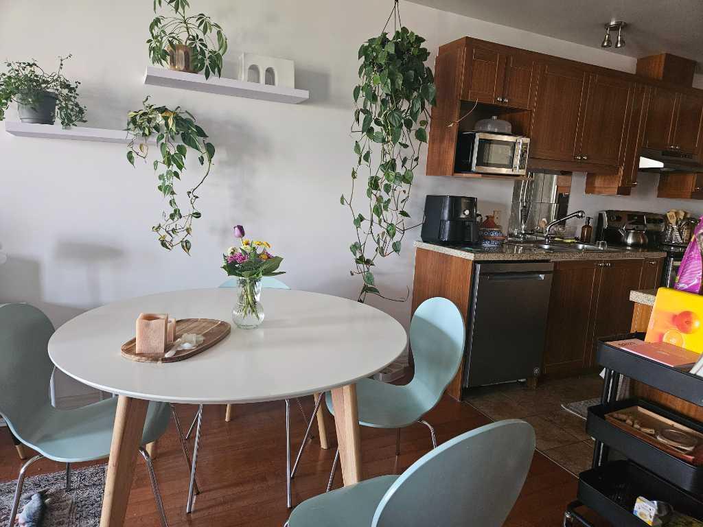 Condo 4 et demi 1er juillet 2026 | 3284792