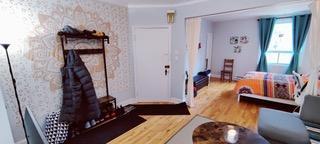 Superbe et chaleureux 3 1/2 PLATEAU MONT-ROYAL, ÉLECTROS/MEUBLES DISPONIBLES AU BESOIN | 3284803