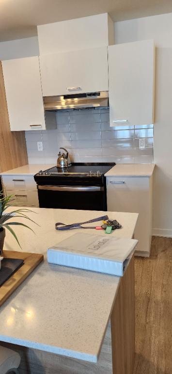 APPARTEMENT À LOUER AVEC DEN TOUT INCLUS AVEC GARAGE | 3284916