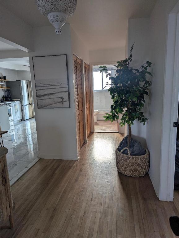LOGEMENT 5 1/2 À LOUER À SAINT-LÉONARD | 3284968