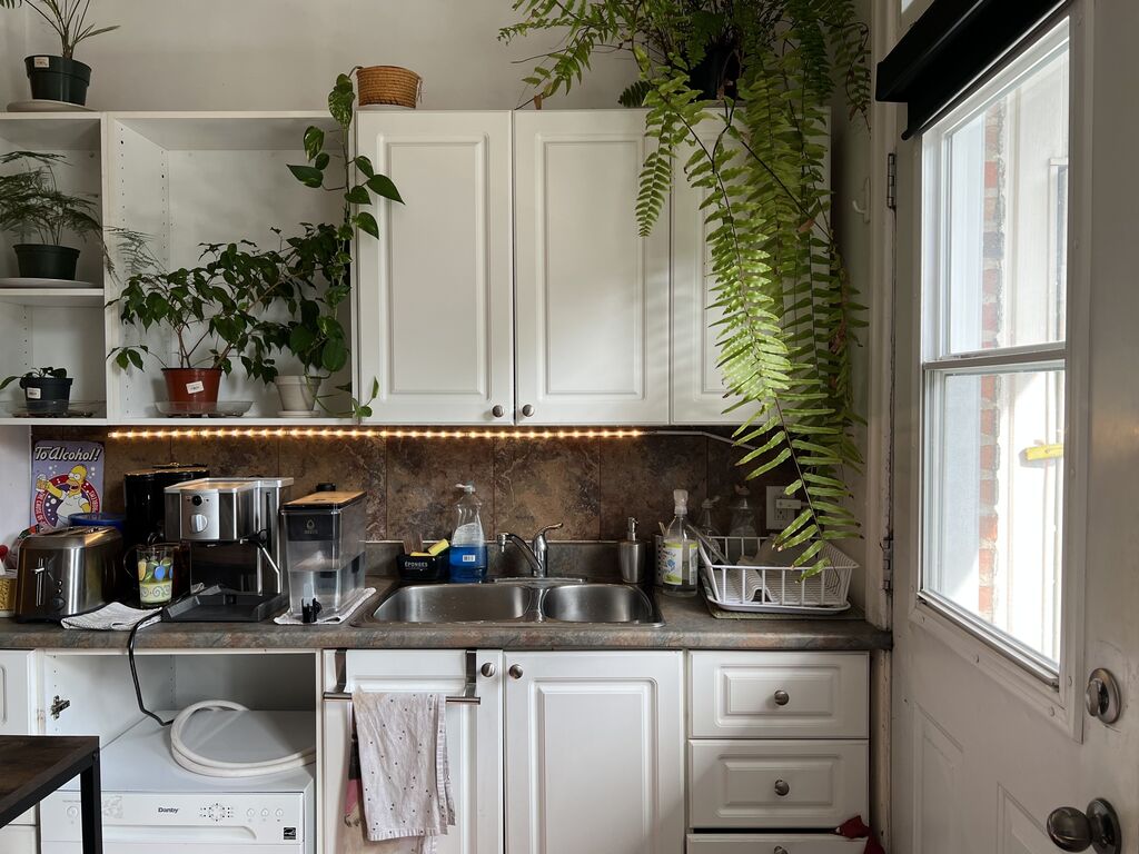 Plateau Mont-Royal – Mile End 4 1/2 | 3285523