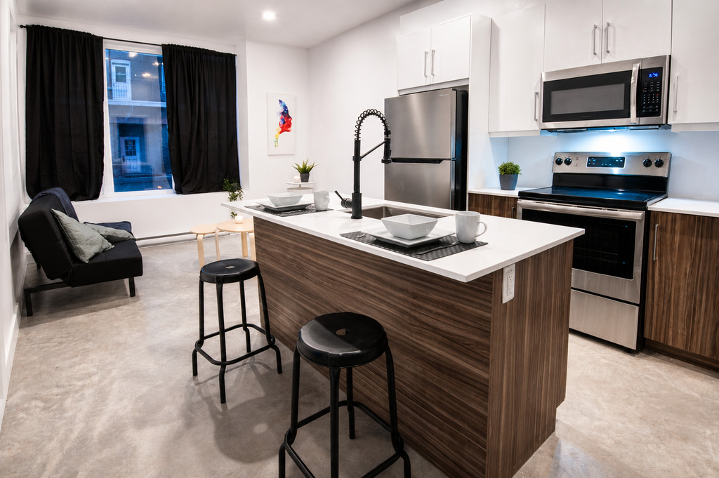 Grand 3 1/2 Style Loft Tout Inclus | 3285610