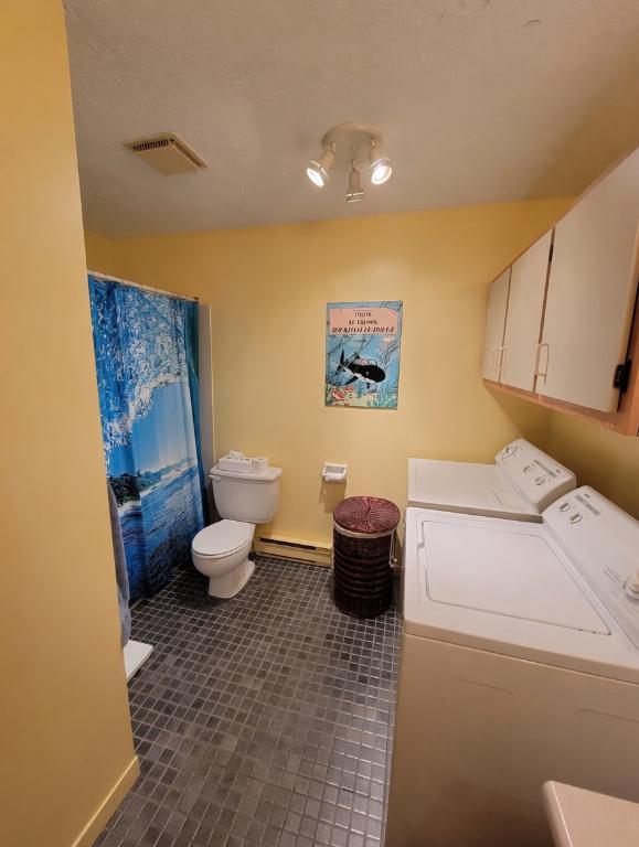 Plusieurs 3 1/2 de disponible situés dans un immeuble calme et agréable | 3285653