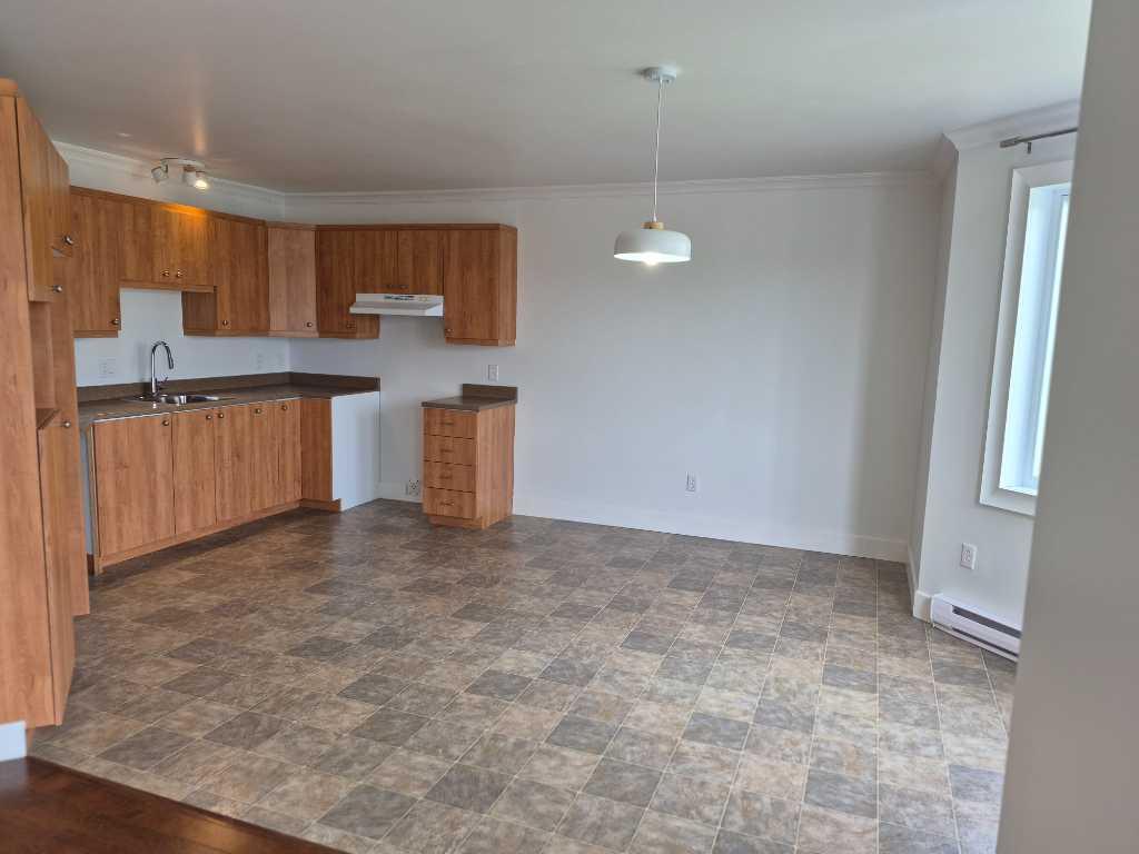 Grand 5 1/2 récent tranquille | 3285669