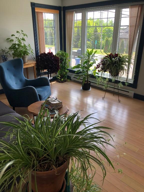 Sorel-Tracy logement 5 1/2 | 3285692