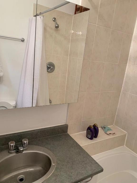 Appartment pour louer 4&1/2 Apartment - Quartier des Spectacles | 3286106